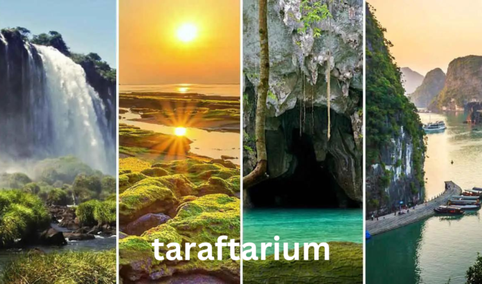 A Guide to the Wonders of Nature taraftarium