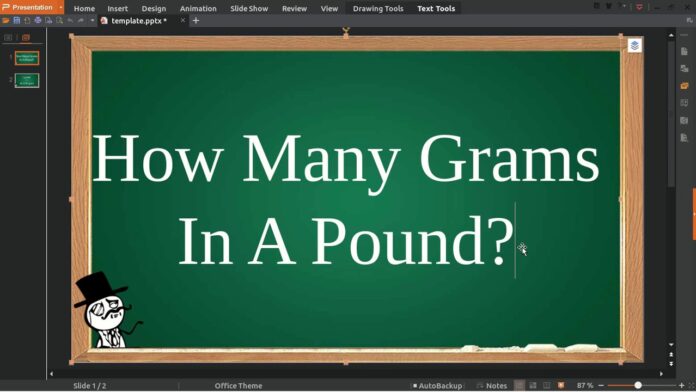 How Many Grams in a Pound