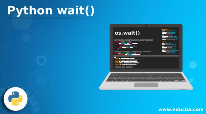 The Power of python wait: How to Harness Its Potential