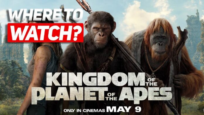 How to Make kingdom of the planet of the apes rent