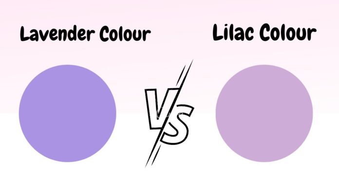 Lilac vs Lavender